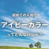 【アイビーカラー】ってどんなバンド？入門におすすめな人気曲3曲も紹介