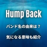 Hump Backのバンド名の由来は「猫背」？意味と読み方もサクッと紹介！