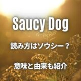 【Saucy Dog】の読み方はソウシードッグ？意味と由来も丁寧に調査しました！