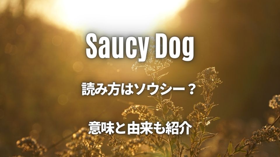 Saucy Dog ってどういう意味 公式の読み方と名前の由来も紹介 オトニスタ